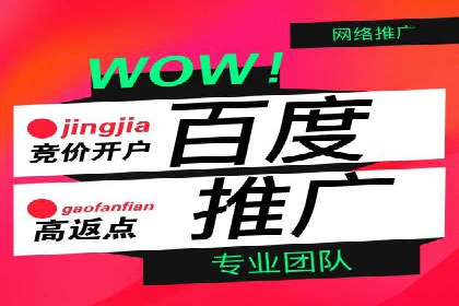 百度SEO优化公司案例详解：如何制定有效的推广计划